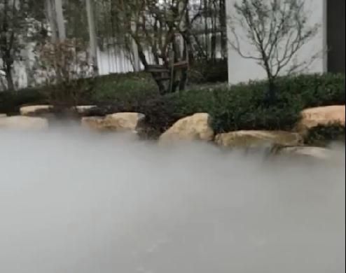 雾森系统